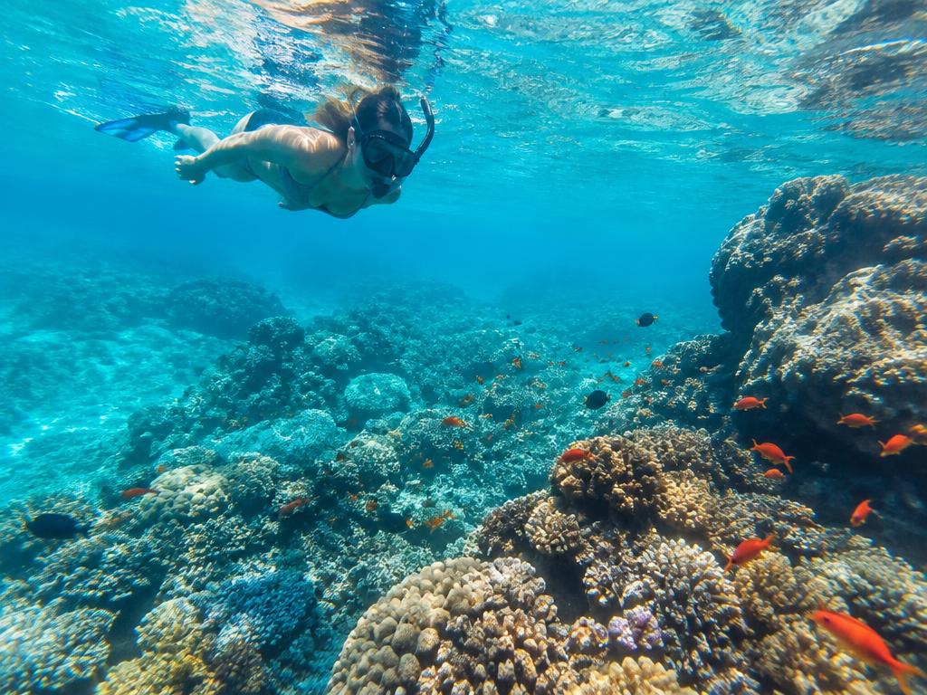 Activities in Nusa Penida, Bali